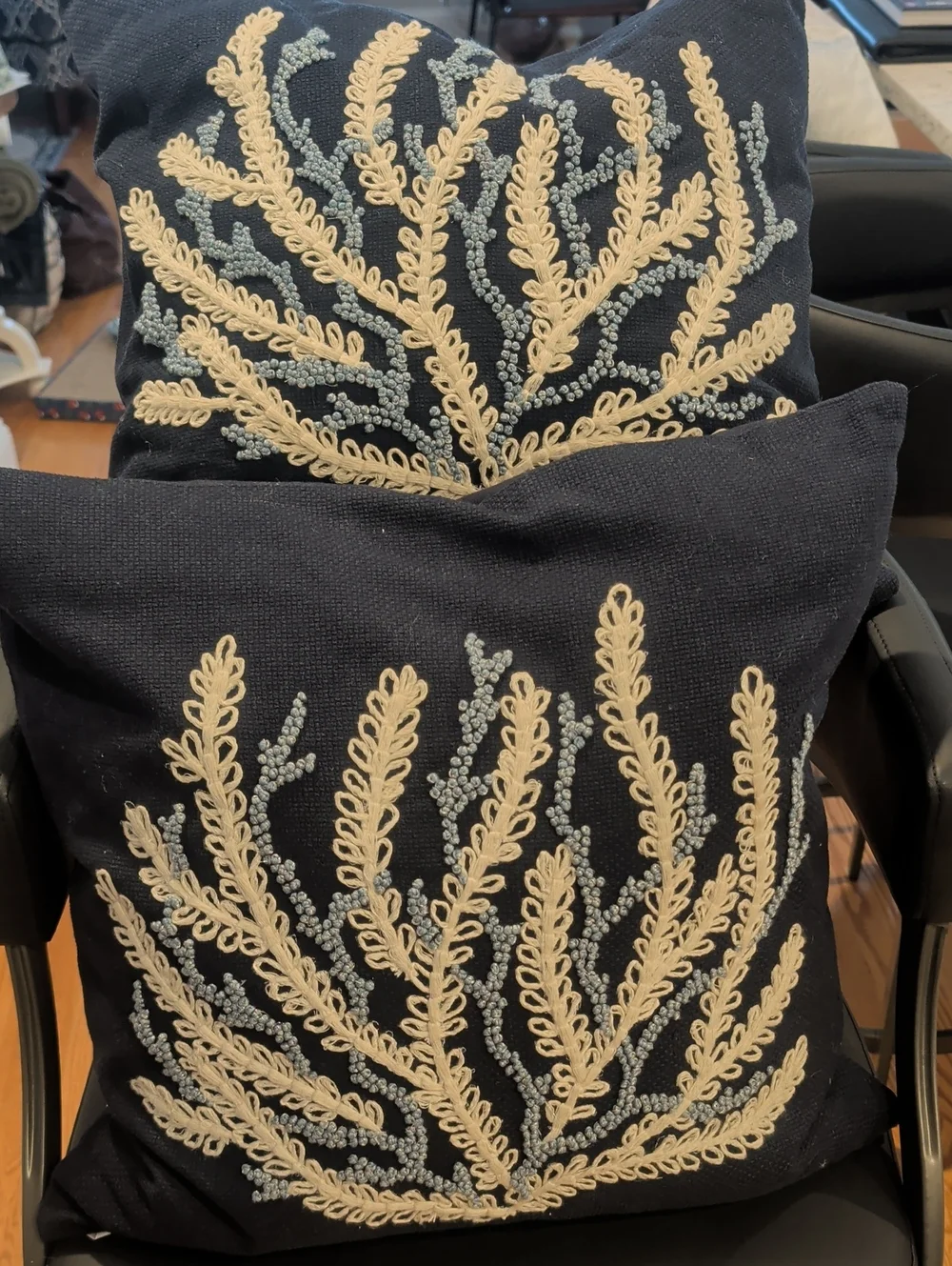 Pottery Barn Pillow Pair